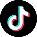 FlyX Coin TikTok social media platform for global cryptocurrency community engagement and blockchain updates
